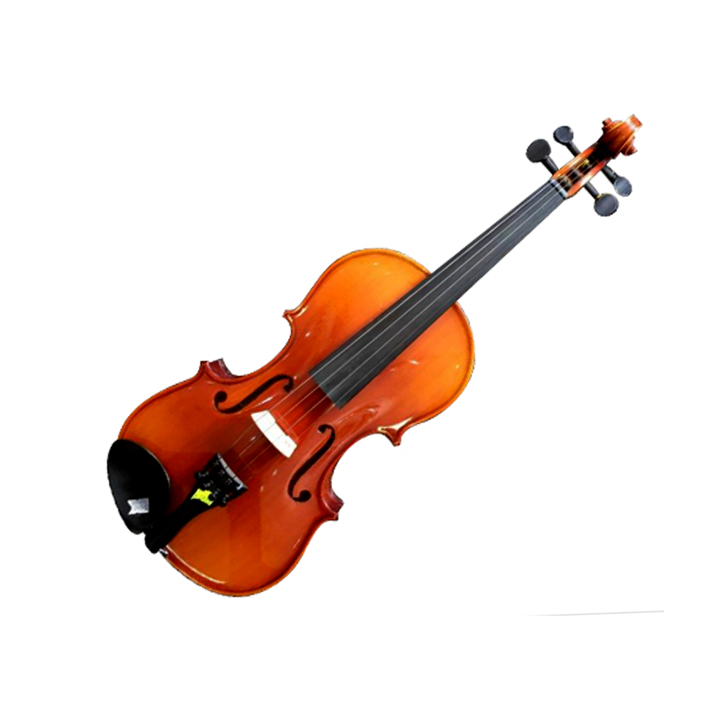 Suzuki Nagoya Violin NS-20