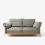 Gray Couch