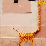 Street Giraffe
