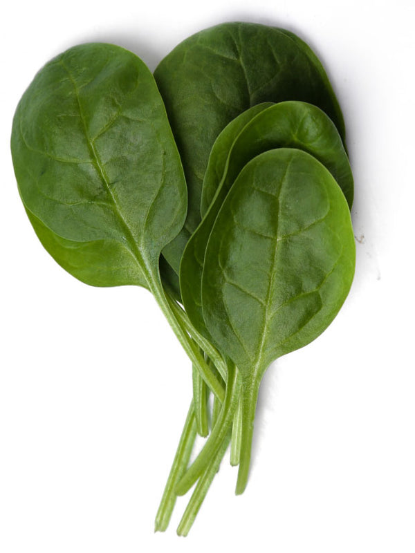 Spinach